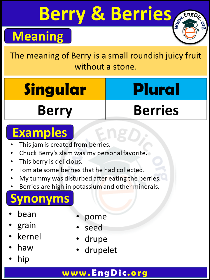 Plural of Berry, Singular of Berries, Meaning of Berry, synonyms of Berry in English