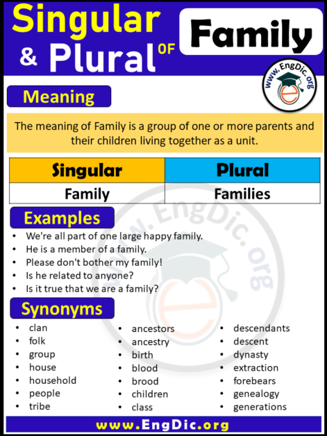 singular-and-plural-of-family-engdic