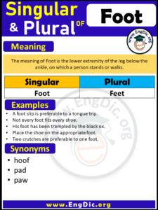 give the singular form of feet