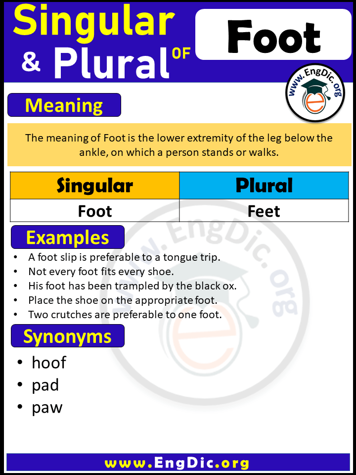 Plural of Foot, Singular of Feet, Singular and plural of Foot