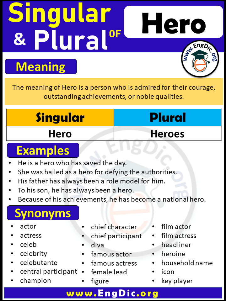 Hero meaning in english EngDic