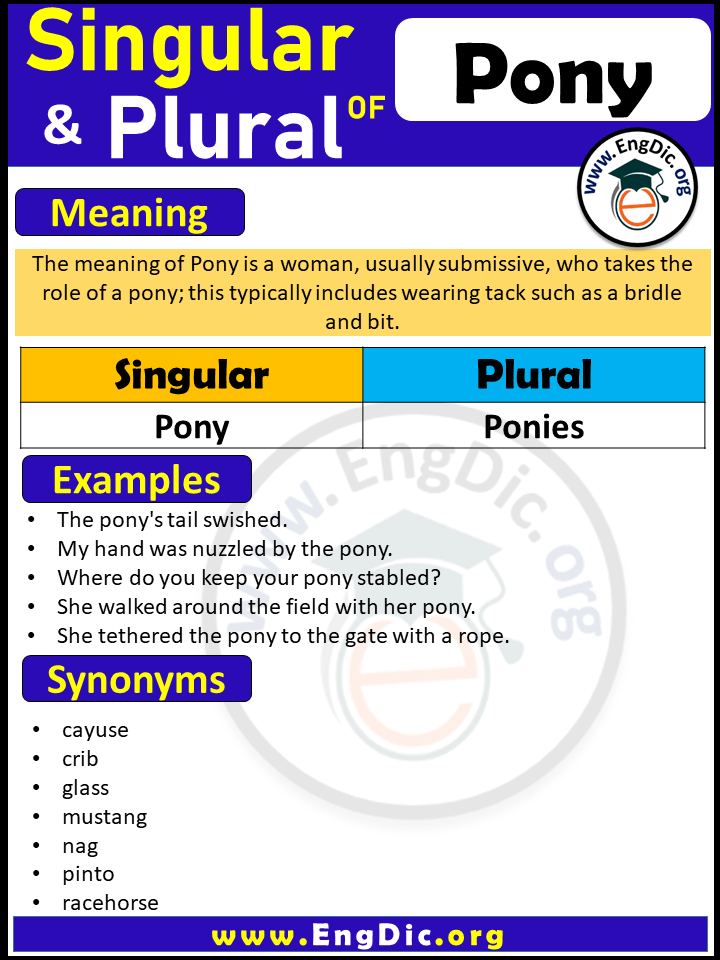 Pony Plural, What is the Plural of Pony?