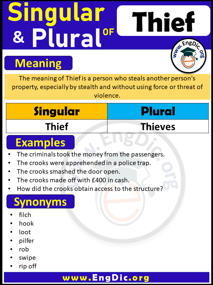 Plural of Thief, Singular of Thieves, Singular and plural of Thief