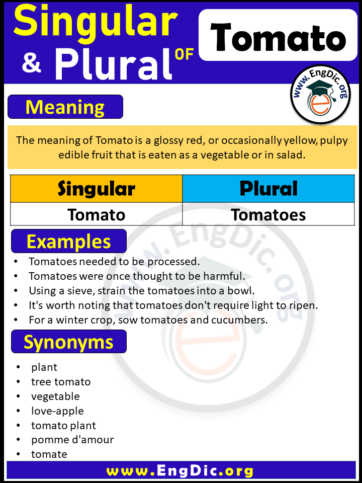 Plural of Tomato | Singular of Tomatoes | Meaning, synonyms & singular plural of Tomato