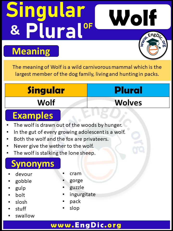 Wolf Plural, What is the Plural of Wolf?