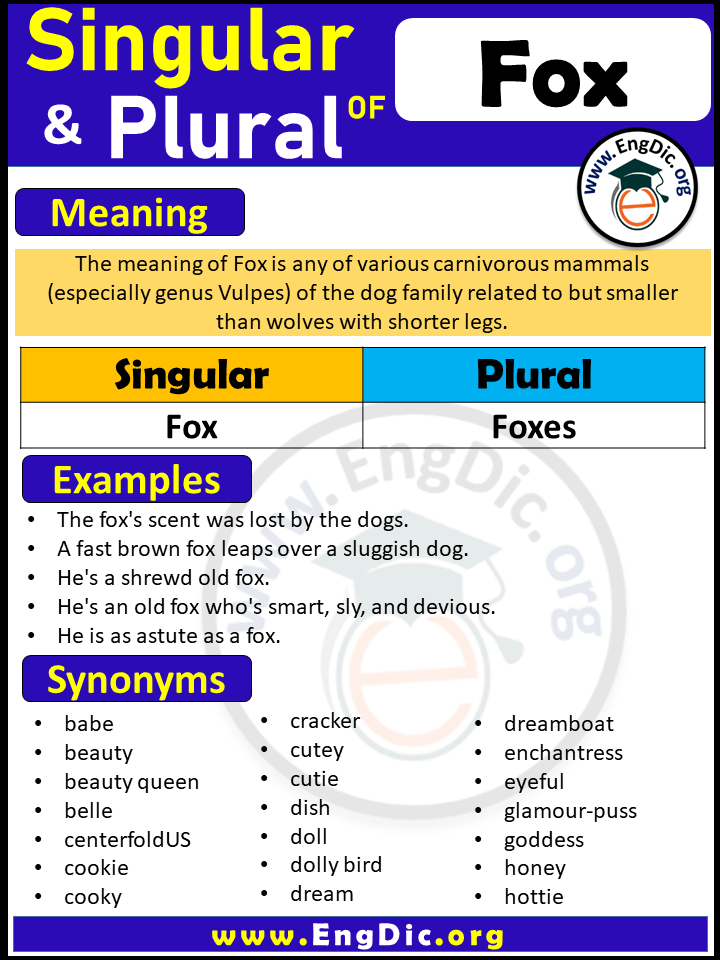 Fox Plural, What is the Plural of Fox?