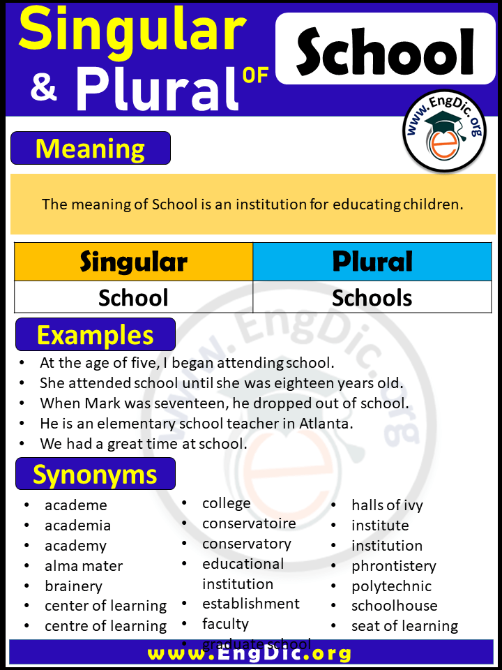 Singular and Plural of School