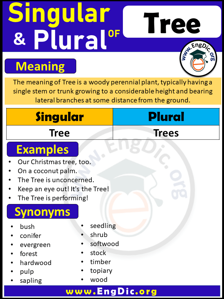 Tree Plural, What is the Plural of Tree?