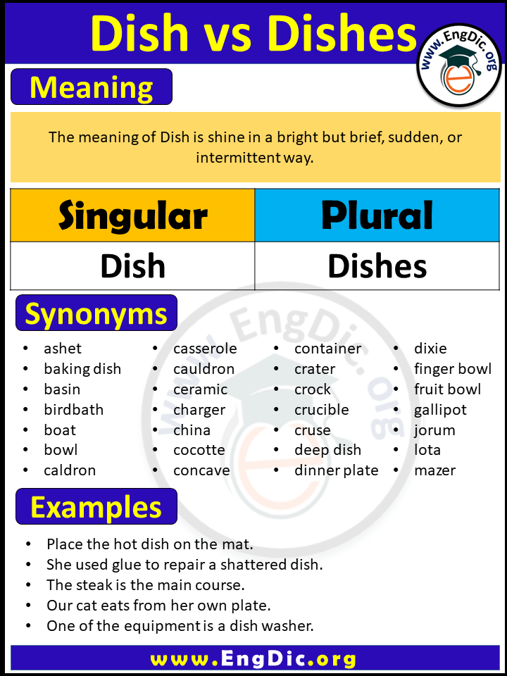 What is singular & Plural noun of Dish? | Meaning, synonyms and sentences of Dish