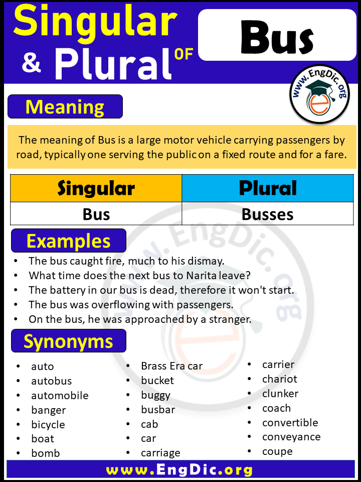 What is singular & Plural noun of Bus? | Meaning, synonyms and sentences of Bus