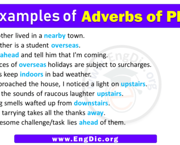10 Examples of Adverbs of Place in Sentences