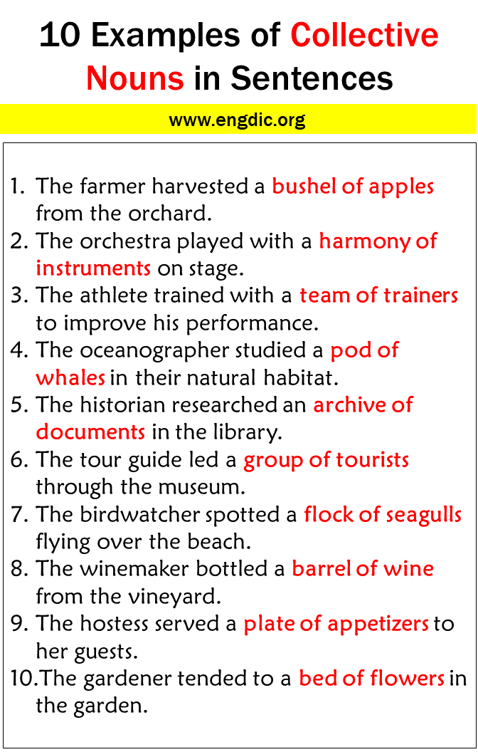 10 Examples of Collective Nouns in Sentences 1