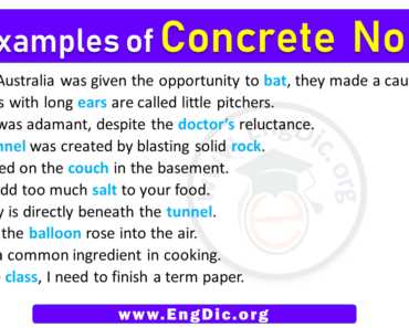 10 Examples of Concrete Nouns in Sentences