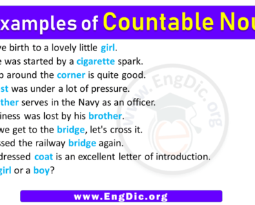 10 Examples of Countable Nouns in Sentences