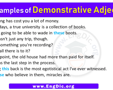 10 Examples of Demonstrative Adjectives in Sentences