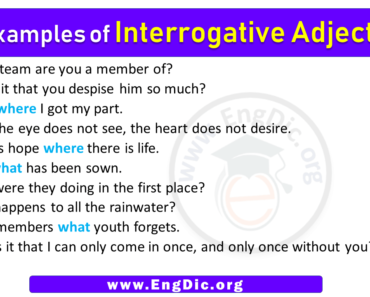 10 Examples of Interrogative Adjectives in Sentences