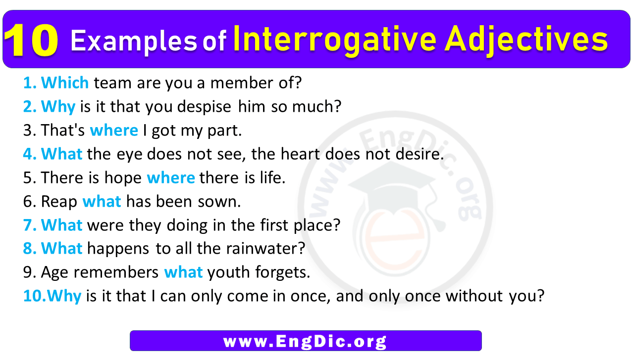 10 Examples Of Interrogative Adjectives In Sentences EngDic