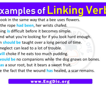 10 Examples of Linking Verbs in Sentences