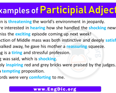 10 Examples of Participial Adjectives in Sentences