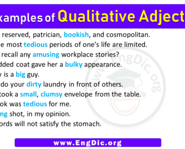 10 Examples of Qualitative Adjectives in Sentences