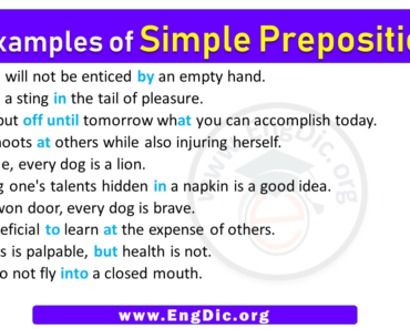 10 Examples of Simple Prepositions in Sentences