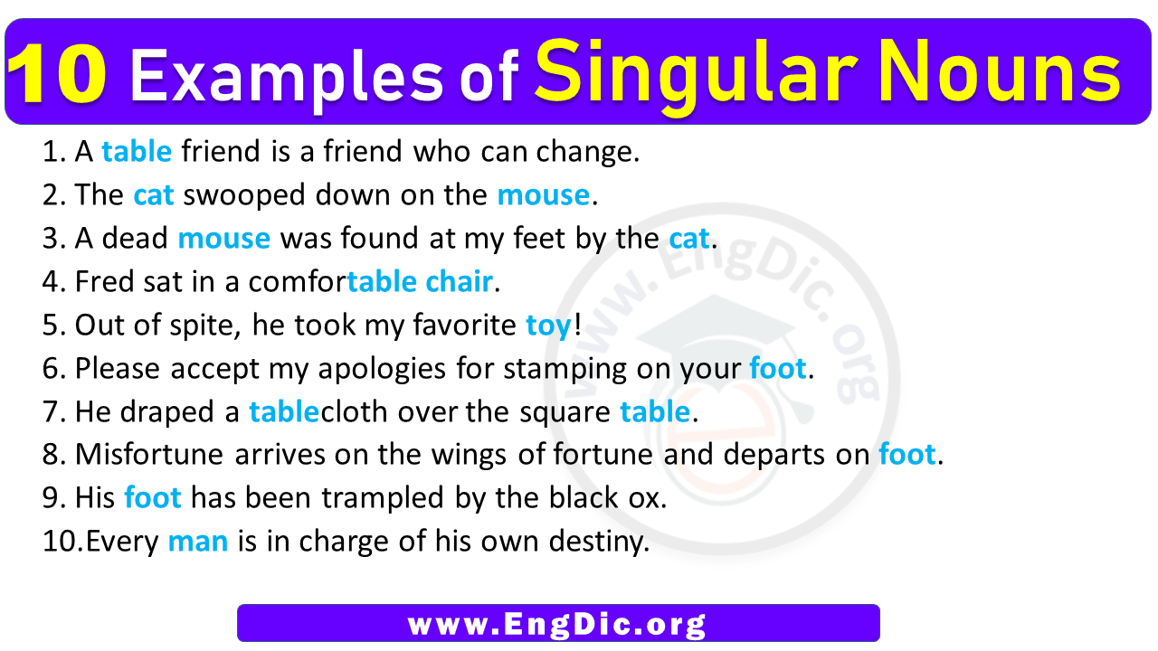10 Examples of Singular Nouns in Sentences