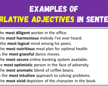 10 Examples of Superlative Adjectives in Sentences
