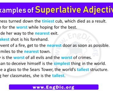 10 Examples of Superlative Adjectives in Sentences