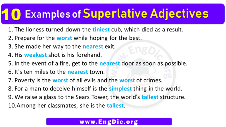 10 Sentences Using The Superlative Form