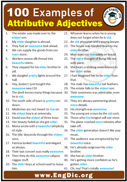 100 Examples Of Attributive Adjectives In Sentences EngDic