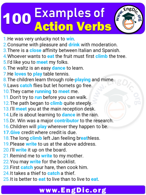 action words for essays