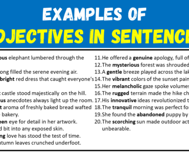 100 Examples of Adjectives in Sentences