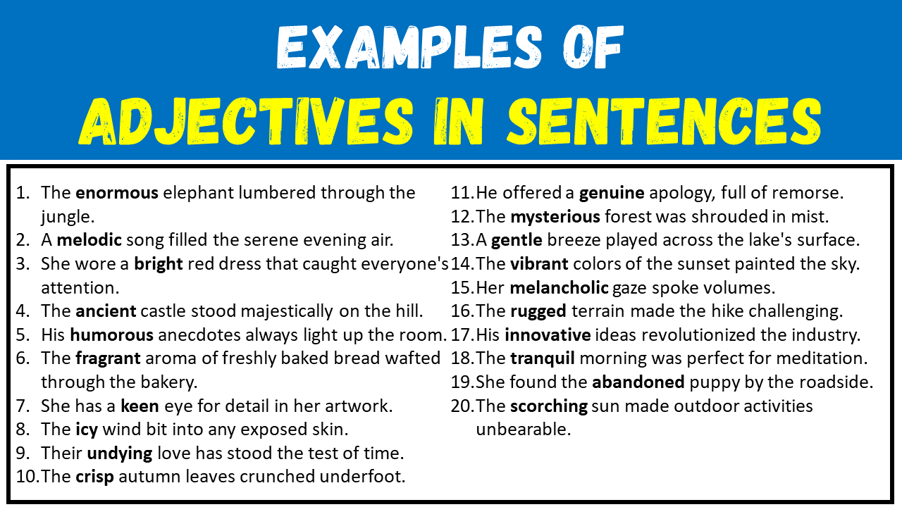 100 Examples of Adjectives in Sentences