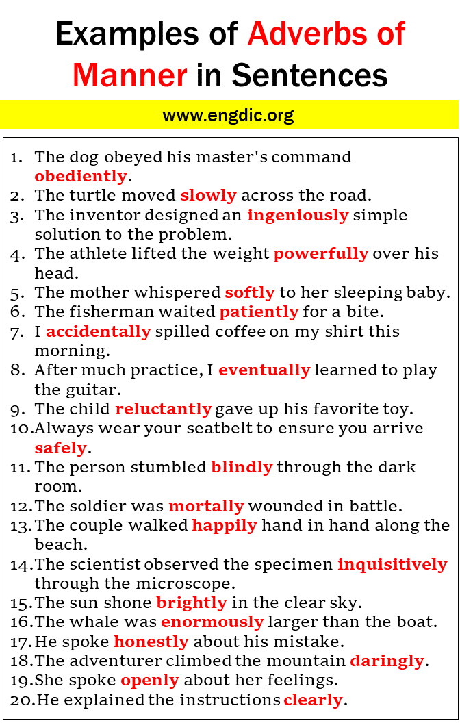 100 Examples of Adverbs of Manner in Sentences 1