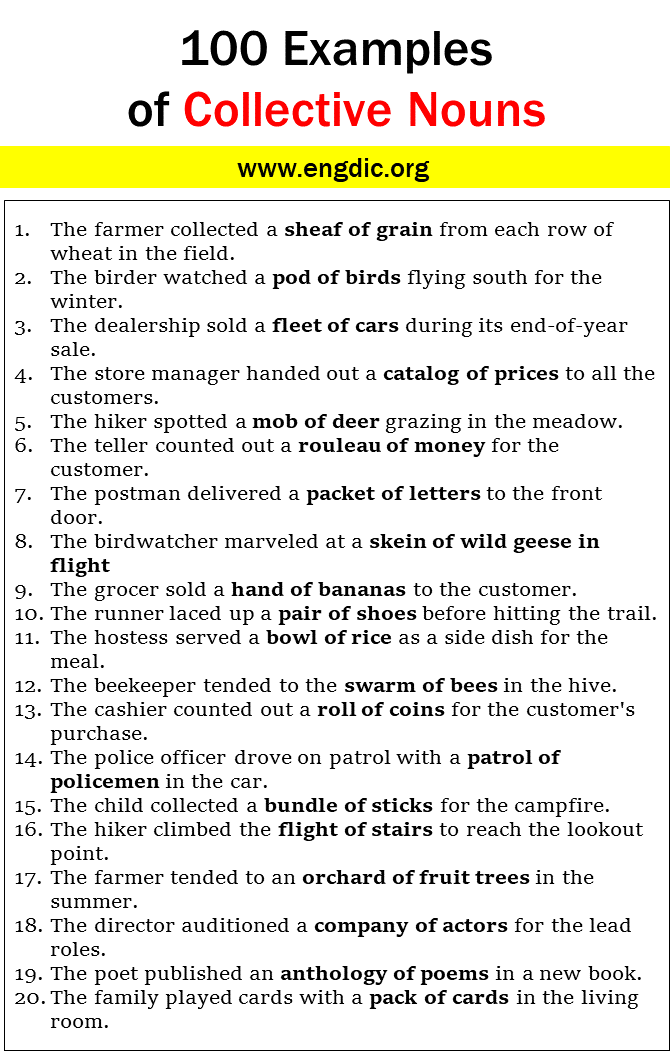 collective sentence examples