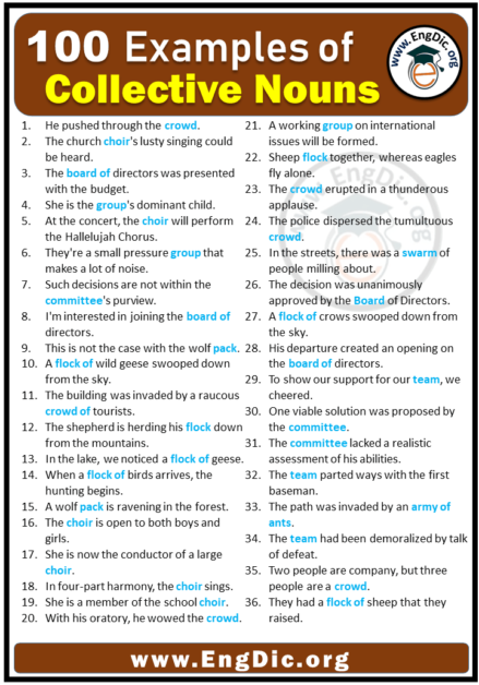 100 Examples of Collective Nouns in Sentences - EngDic