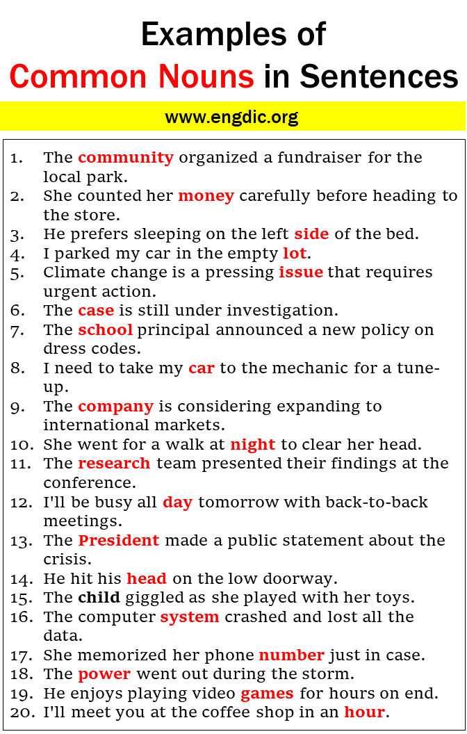 100 Examples Of Common Nouns In Sentences EngDic