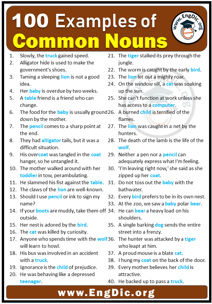 100 Examples of Common Nouns in Sentences - EngDic