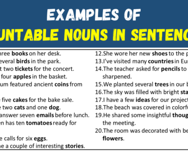 100 Examples of Countable Nouns in Sentences