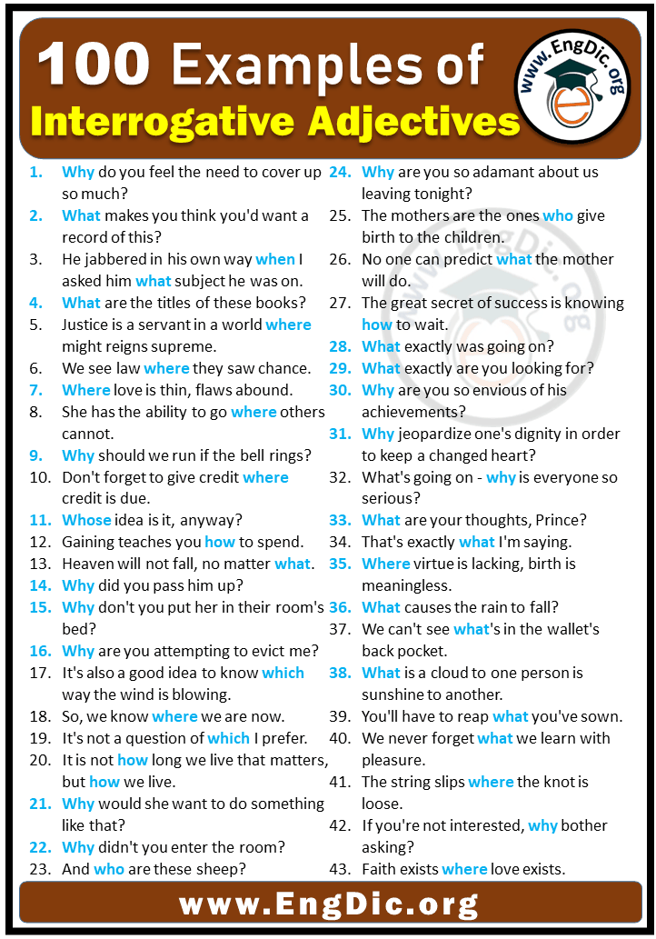 100 Examples of Interrogative Adjectives in Sentences