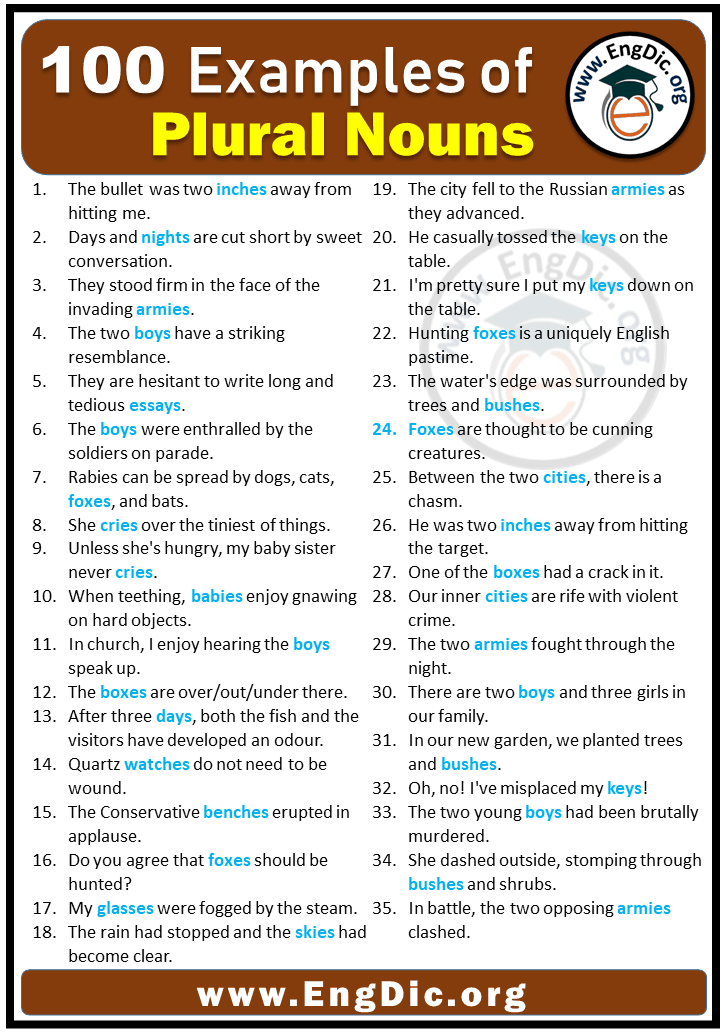 100-examples-of-plural-nouns-in-sentences-engdic