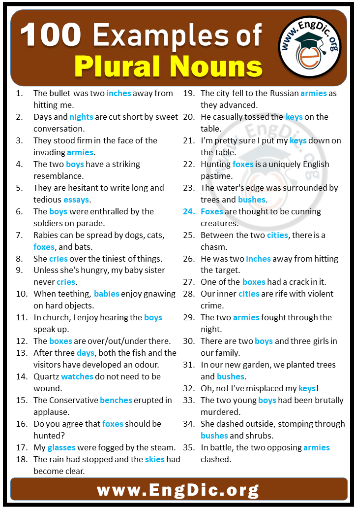 100 Examples Of Plural Nouns In Sentences EngDic