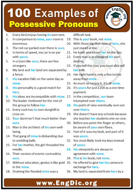 100-examples-of-possessive-pronouns-in-sentences-engdic