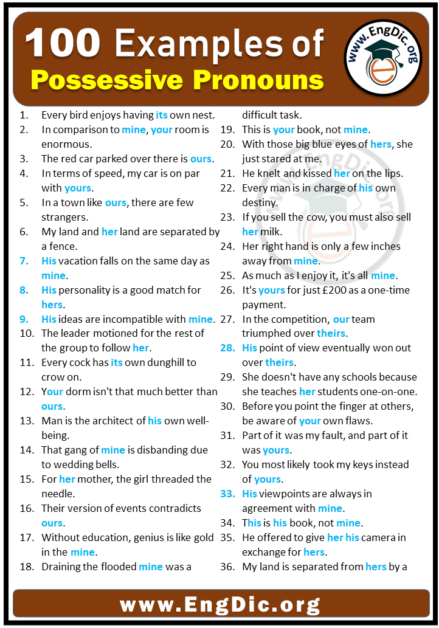 100 Examples Of Possessive Pronouns In Sentences EngDic