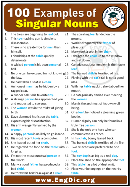 100 Examples of Singular & Plural Nouns in Sentences - EngDic