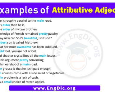 15 Examples of Attributive adjectives in Sentences