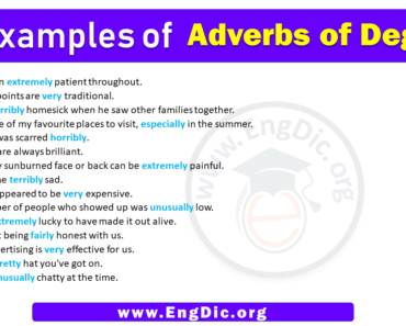15 Examples of Adverbs of Degrees in Sentences