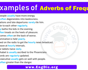 15 Examples of Adverbs of Frequency in Sentences
