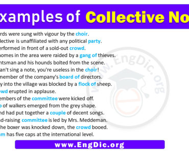 15 Examples of Collective Nouns in Sentences