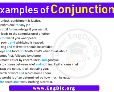 15 Examples of Conjunction Sentences (Easy Sentences Of Conjunction)